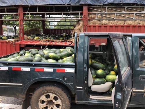行善最樂，端午之際赫茲曼電力扶貧獻(xiàn)愛心