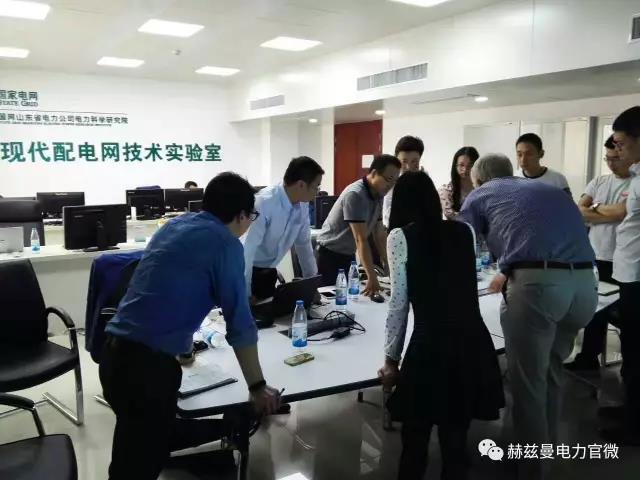 配網(wǎng)技術(shù)