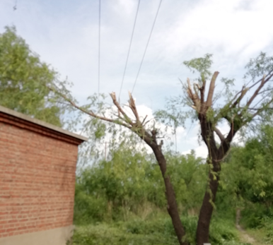 電氣事故引發(fā)加州山火，據(jù)說(shuō)這個(gè)裝置可以避免事故發(fā)生！